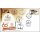 60th Anniversary of Metropolitan Electricity Authority -FDC(I)-