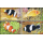 Anemonenfische (Clownfische) -FDC(I)-