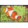 Anemonefish (Clownfish) -FDC(I)-