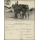 Ancient Khmer on Postcard (I) -POSTCARD TEMPLATE
