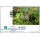 Inclusion of Koh Ker in the UNESCO World Heritage List (I) -FDC(I)-