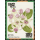 Flower drawings