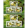 Durian fruit (Durio zibethinus) (394)