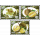 Durian fruit (Durio zibethinus)