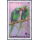 Parrots -MAXIMUM CARDS-