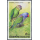 Parrots -MAXIMUM CARDS-