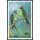 Parrots -MAXIMUM CARDS-