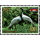 Native Birds (X) (MNH)