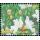 Erstaunliches Thailand (II):Kulap-Khao-Wiese, Doi-Chiang-Dao-Gebirge -FDC(I)-