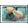 Fishes (VIII)