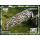 Fishing cat (II)
