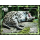 Fishing cat (II)