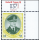 Definitive: King Bhumibol 10th Series 15B CSP 1P -MAXIMUM CARD-