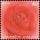 Greeting Stamp 2002: Rose (I)