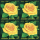 Greeting Stamp 2007: Rose (VI)