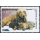 Dog Breeds: Miniature Dachshund