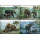 Indian Elephant -MAXIMUM CARDS-