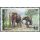 Indischer Elefant -MAXIMUM KARTEN-