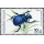 Insect (I) (1342) -STAMP BOOKLET-