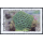 International Letter Week 1992: Coral -FDC(I)-