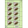 Internationaler Katzentag 2026 -KB(I)- (**)