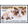Cat Breeds (IV)