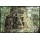 Knigreich der Wunder - Mystisches Angkor (344)