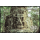 Kingdom of Wonder - Mystical Angkor (344)