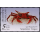 Krebstiere (III): Krabben aus Sdthailand