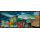 Meeresfauna -KB(I) BERDRUCK-