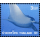 Marine Life -FDC(I)-