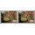 Marine Fishes -PAIR- (MNH)