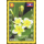 National flowers of the ASEAN members