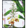 New Year 2016 (I): Family Zingiberaceae