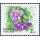 New Year 2000: Medicinal Plants -FDC(I)-