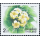 New Year 2000: Medicinal Plants -FDC(I)-