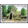 Ruins of Angkor