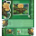 Schmetterlinge: Grner Schwalbenschwanz (Graphium agamemnon) -FL(I)-