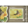 Schmetterlinge: Weier Schwalbenschwanz (Lamproptera curius curius) -FL(I)-