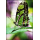 Schmetterlinge (XIII) (414A-415B) (**)