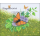 Schmetterlinge (X) (253A) (**)