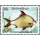 Freshwater fish -FDC(I)-