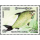 Freshwater fish -FDC(I)-