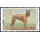 Internationale Briefwoche: Thailndischer Ridgeback