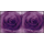 Valentines Day 2022: Purple Rose