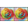 Valentines Day 2023: Rainbow Rose