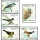 Birds (VI)