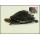 Worldwide conservation: Amboina horseshoe turtle -MAXIMUM CARDS