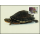 Worldwide conservation: Amboina horseshoe turtle -MAXIMUM CARDS MC(I)-