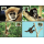 Worldwide Nature Conservation: Handed Gibbon -MAXIMUM CARDS